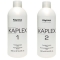 KaPlex