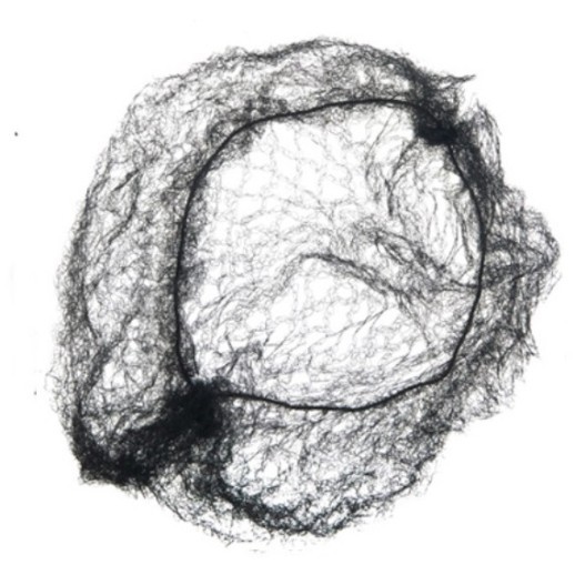 CE100 Сеточка DEWAL для прически, черная 2 шт/уп