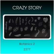 Botanics 2, пластина для стемпинга «Crazy story» Kapous